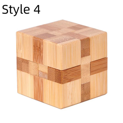 Wooden Lock IQ 3D Puzzles